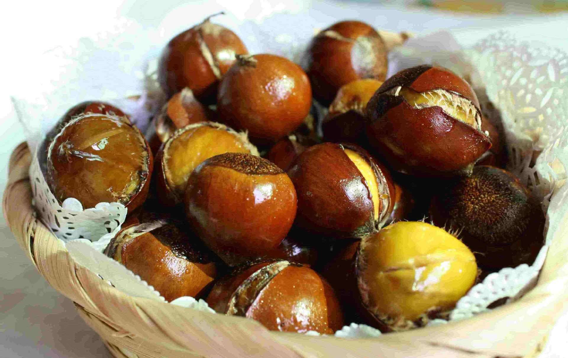 timg (1).jpg timg (1).jpg